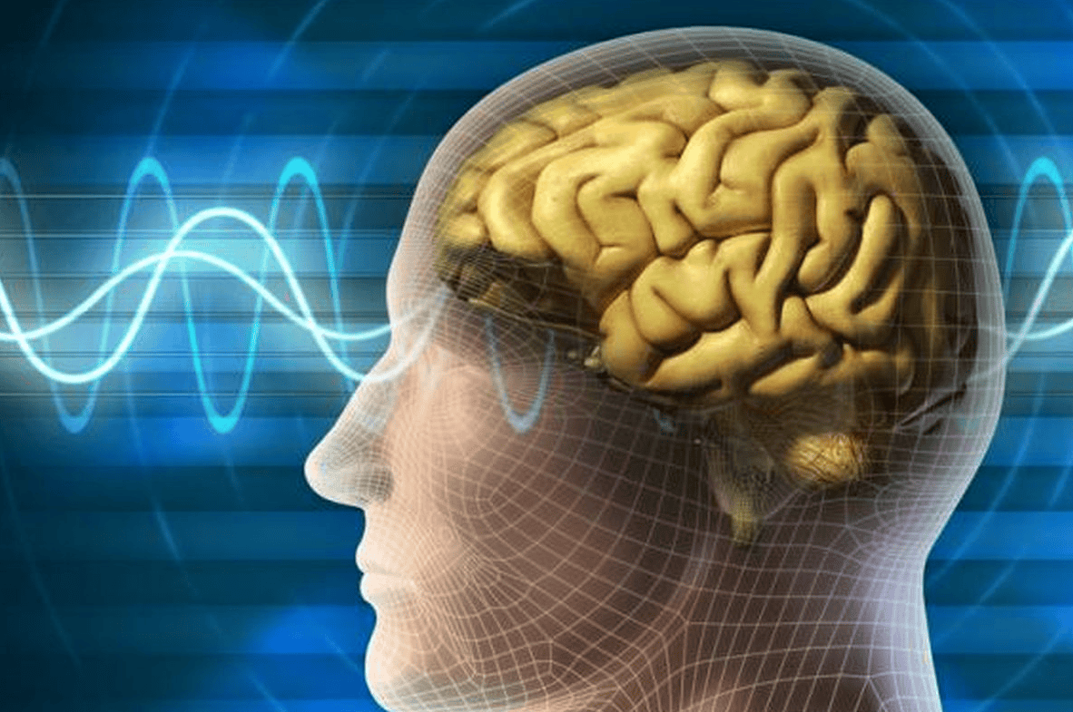 Penyakit Neurodegeneratif